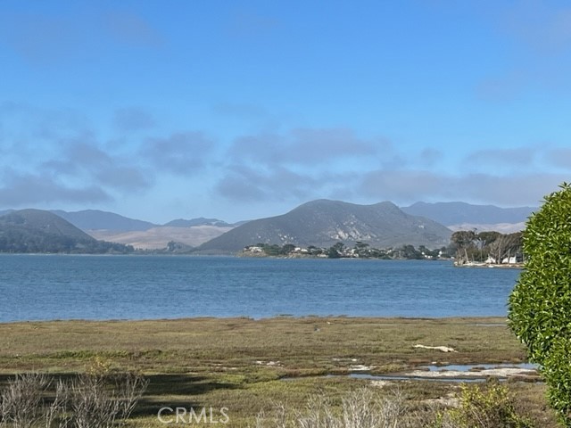 MLS #PI25156457 image #12