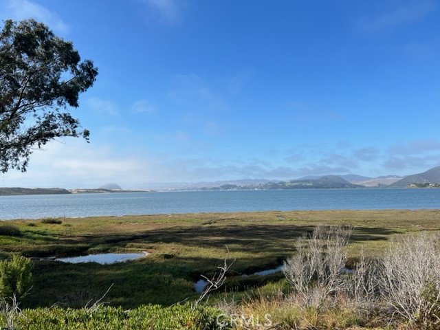 MLS #PI25156457 image #13