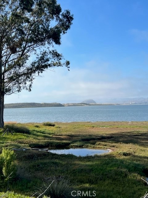 MLS #PI25156457 image #14