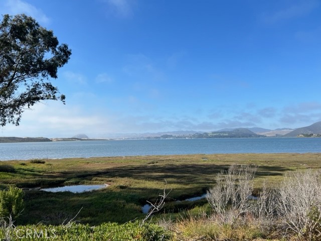 MLS #PI25156457 image #17