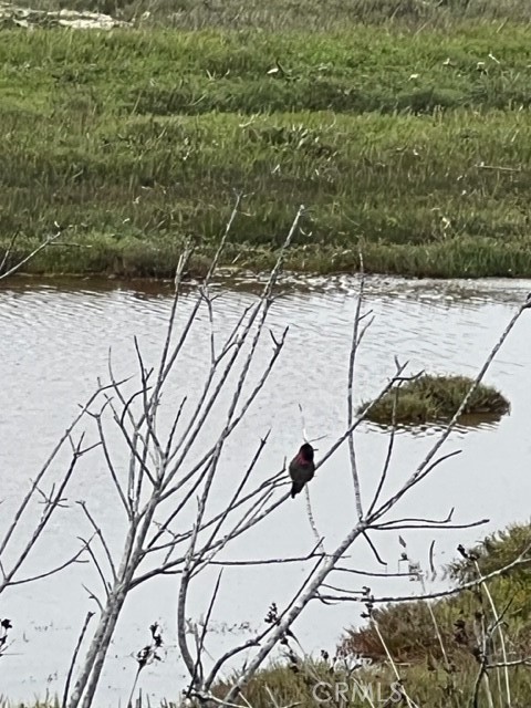 MLS #PI25156457 image #19