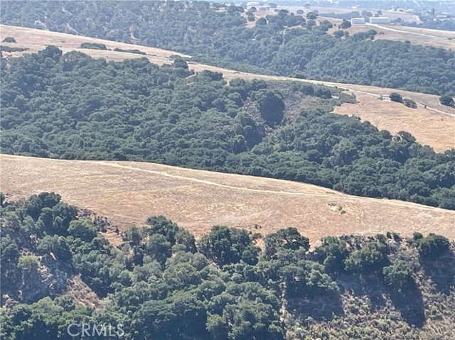 MLS #PI25156581 image #6