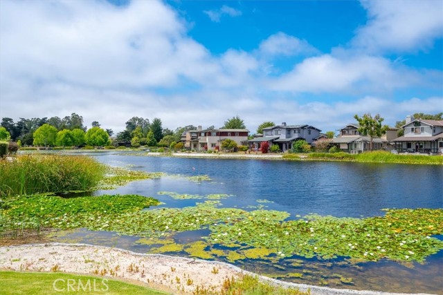 MLS #PI25165817 image #49