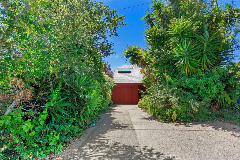 MLS #PI25168270 image #1