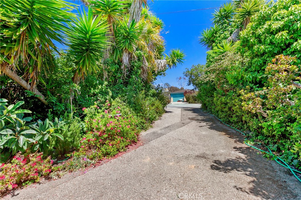 MLS #PI25168270 image #2