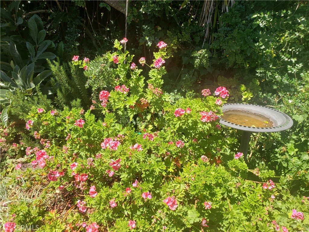 MLS #PI25168270 image #20