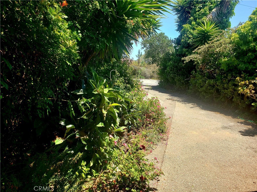 MLS #PI25168270 image #21