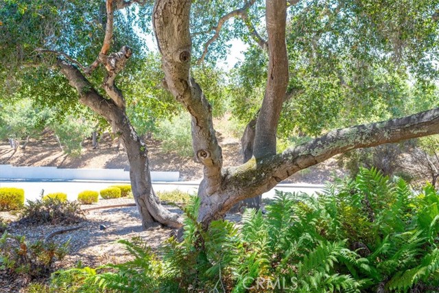 MLS #PI25178550 image #7