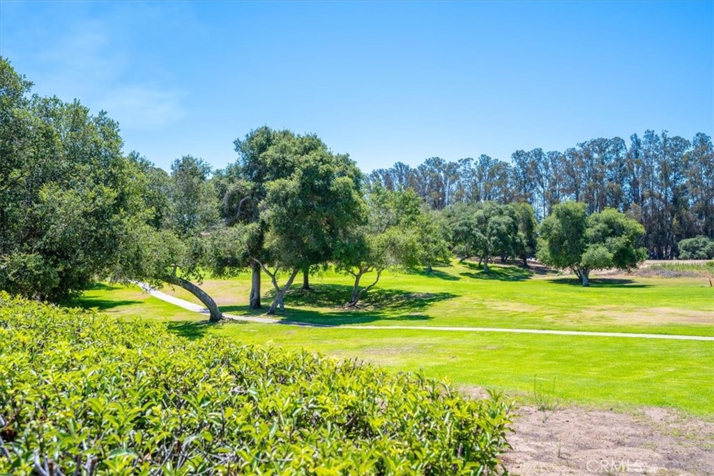 MLS #PI25178693 image #37