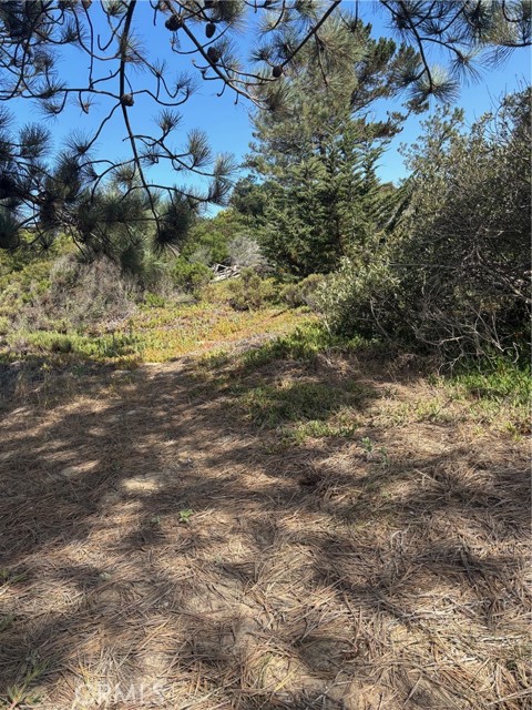 MLS #PI25190316 image #2