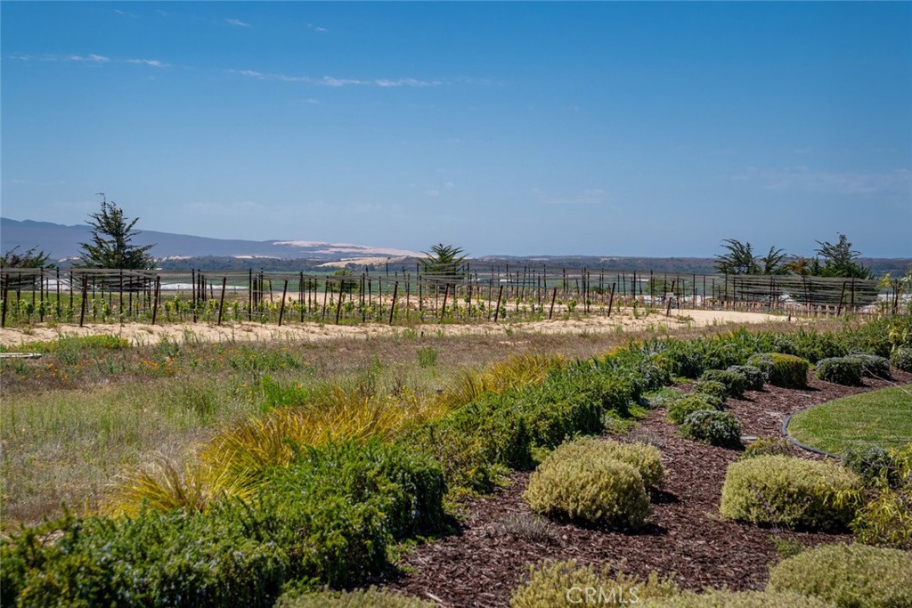 MLS #PI25190443 image #55