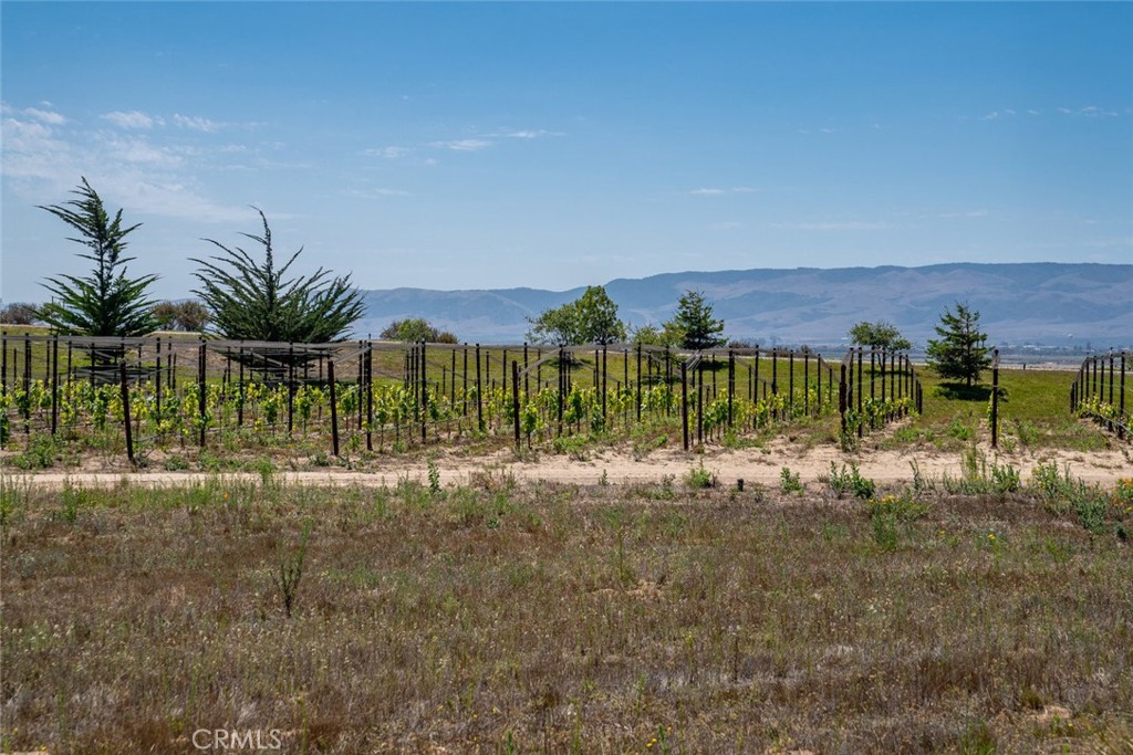 MLS #PI25190443 image #56