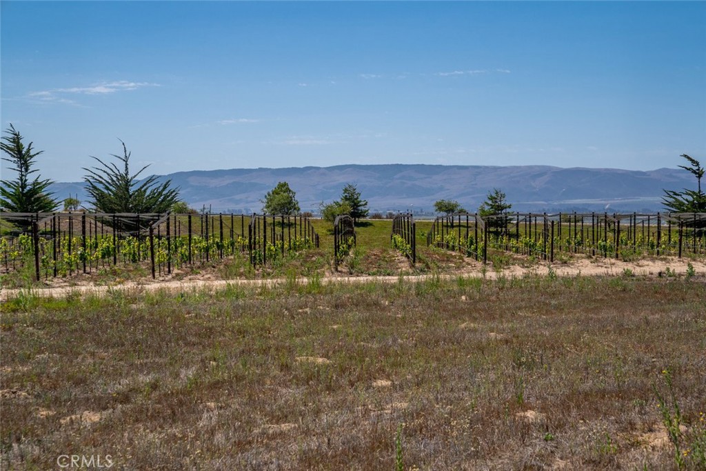 MLS #PI25190443 image #57