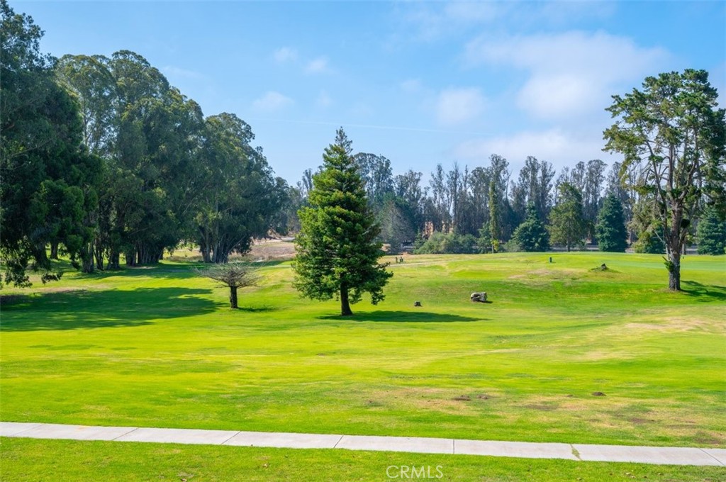 MLS #PI25190614 image #50