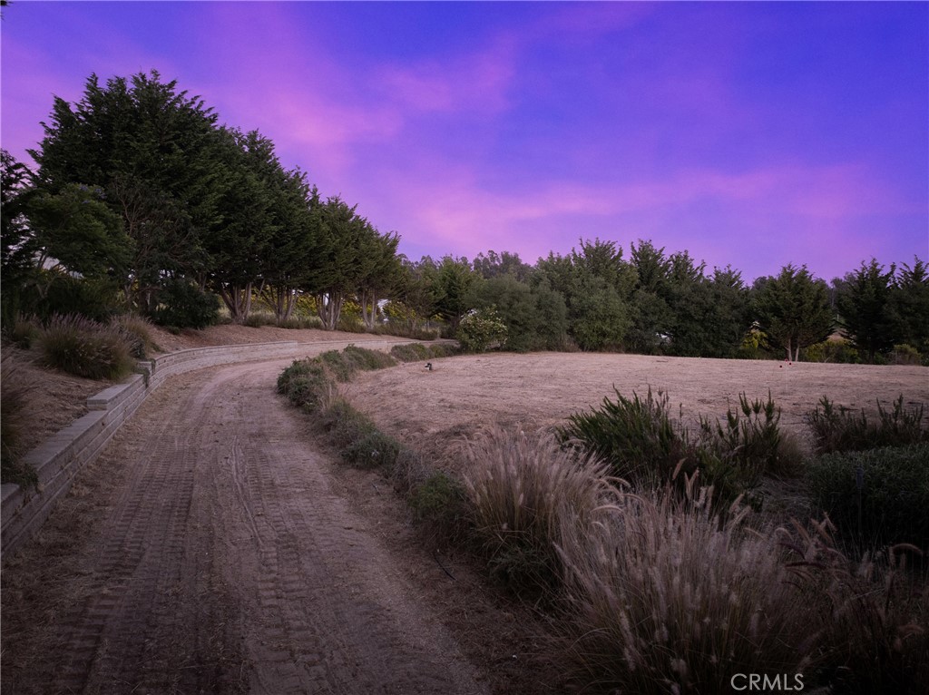 MLS #PI25191923 image #37