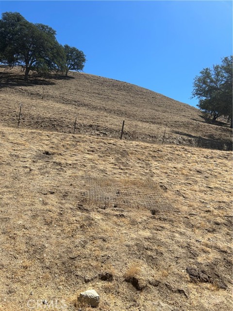 MLS #PI25196448 image #3
