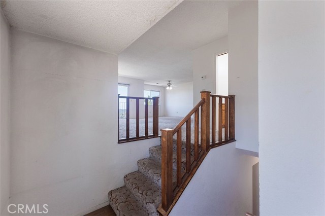 MLS #PI25198310 image #3