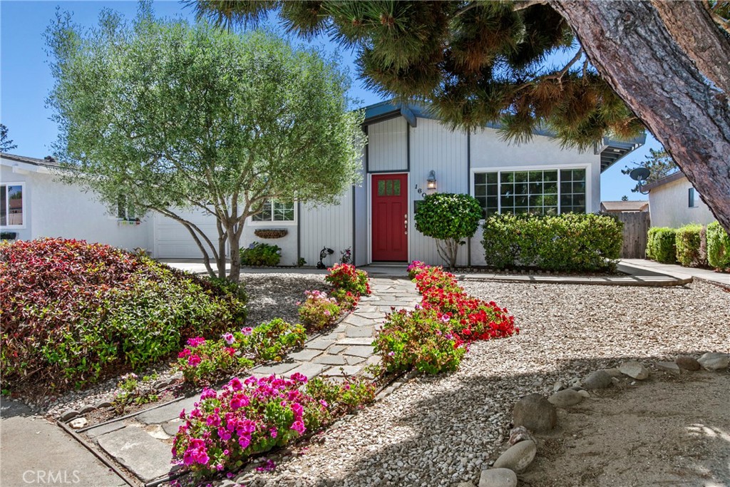 MLS #PI25198390 image #0