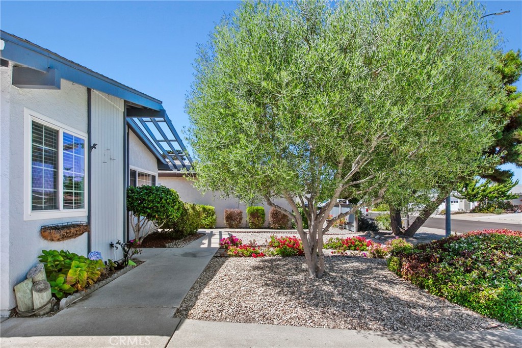 MLS #PI25198390 image #4