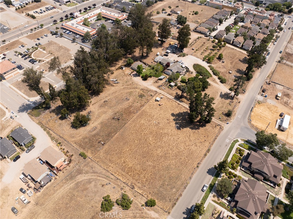 MLS #PI25198511 image #12