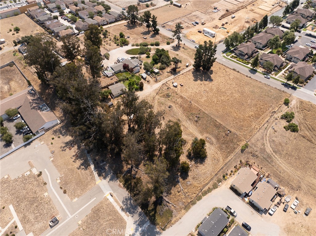 MLS #PI25198511 image #13