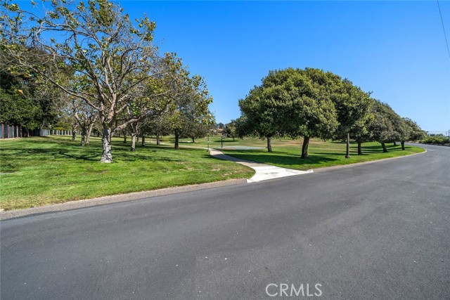 MLS #PI25202364 image #46