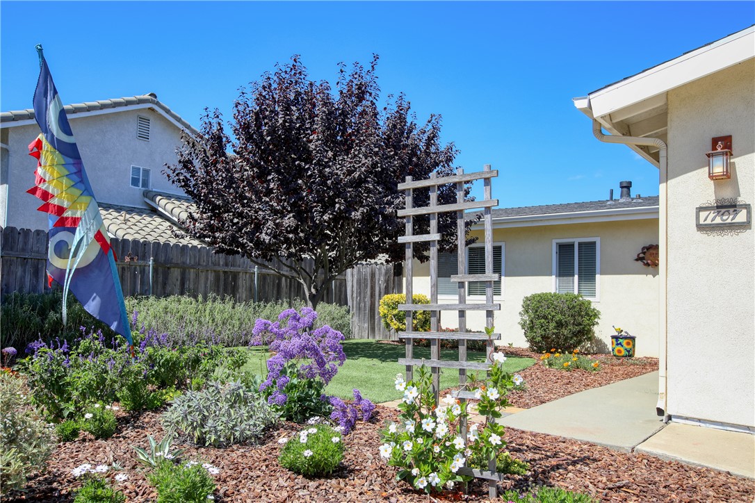 MLS #PI25202601 image #19