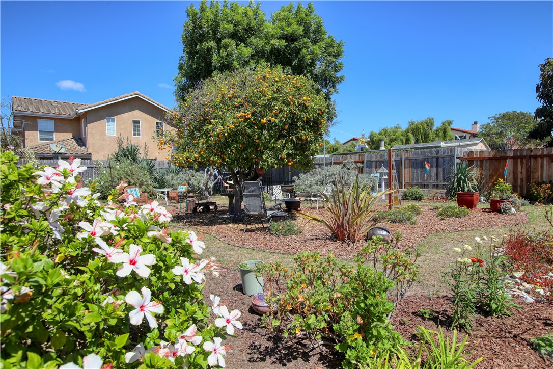 MLS #PI25202601 image #24