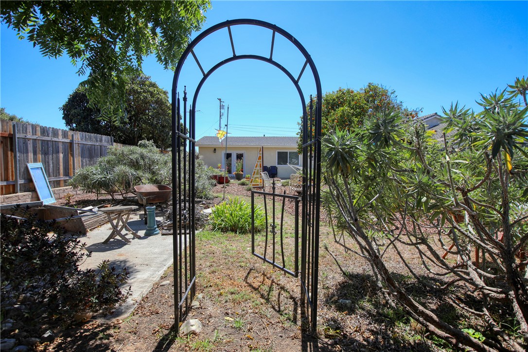 MLS #PI25202601 image #25