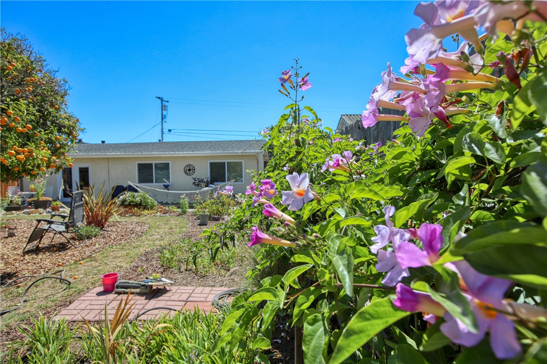 MLS #PI25202601 image #26