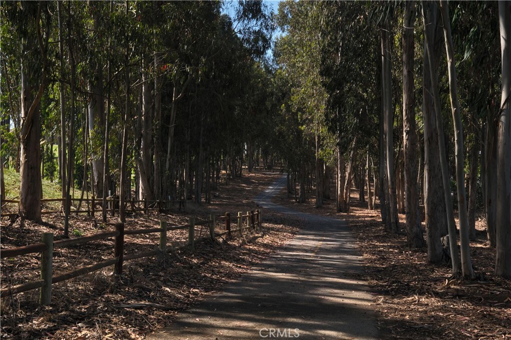 MLS #PI25214916 image #43