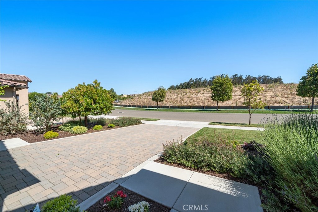 MLS #PI25216649 image #46