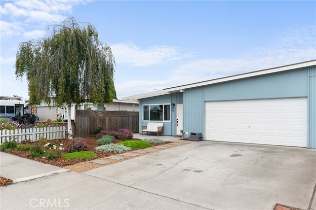 MLS #PI25219697 image #1