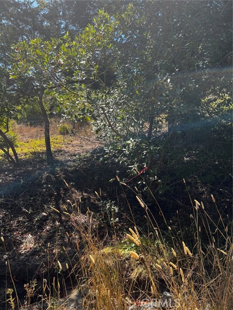 MLS #PI25222819 image #0