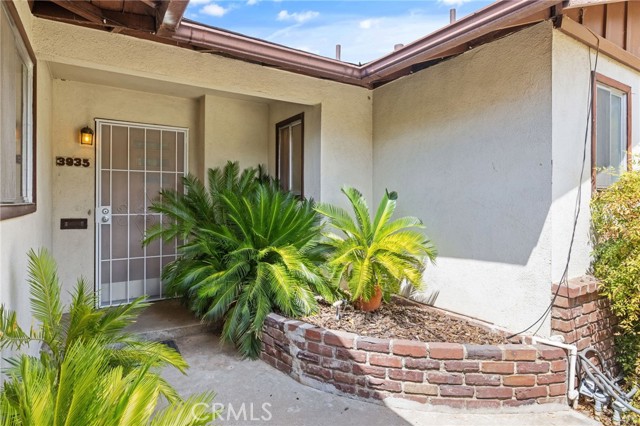 MLS #PI25223771 image #2