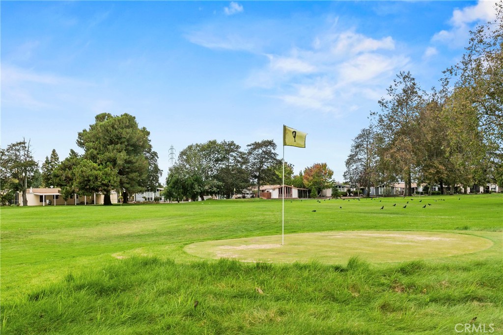 MLS #PI25225055 image #34