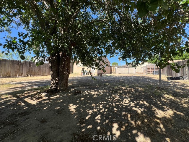 MLS #PI25229710 image #28