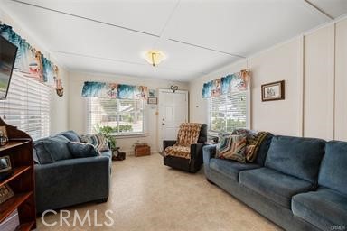 MLS #PI25234438 image #9