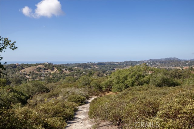 MLS #PI25236022 image #13