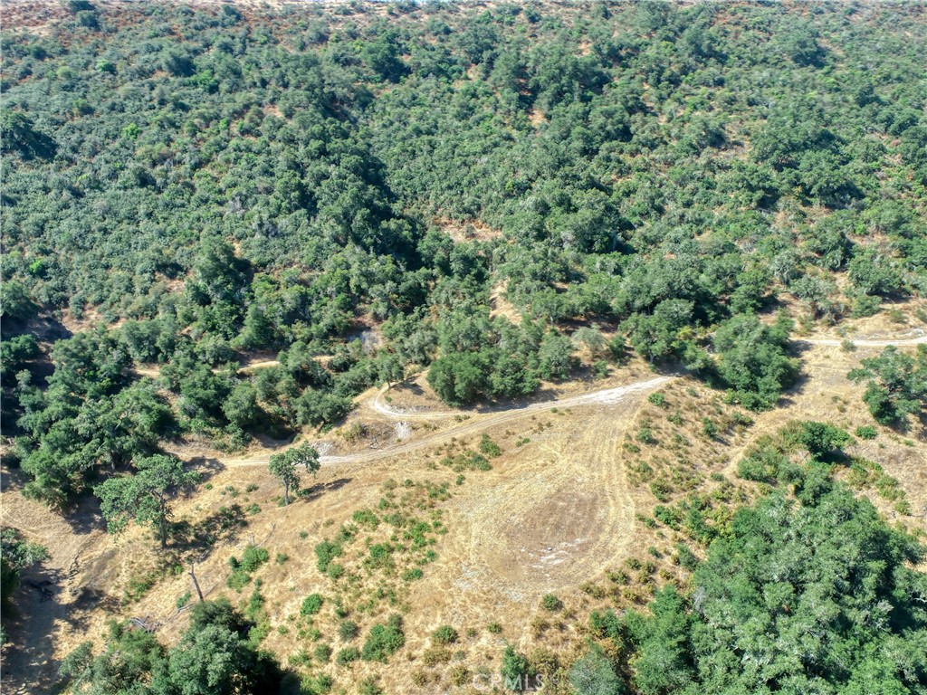 MLS #PI25236520 image #10