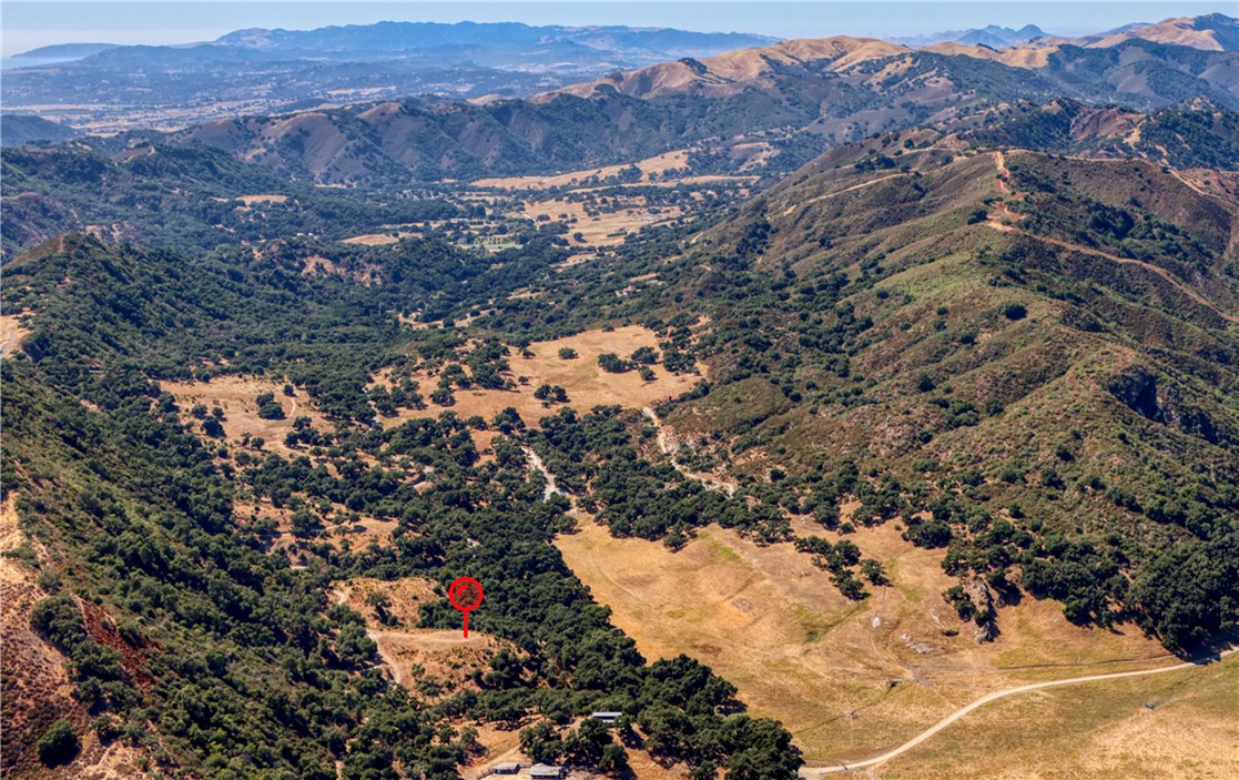 MLS #PI25236520 image #11