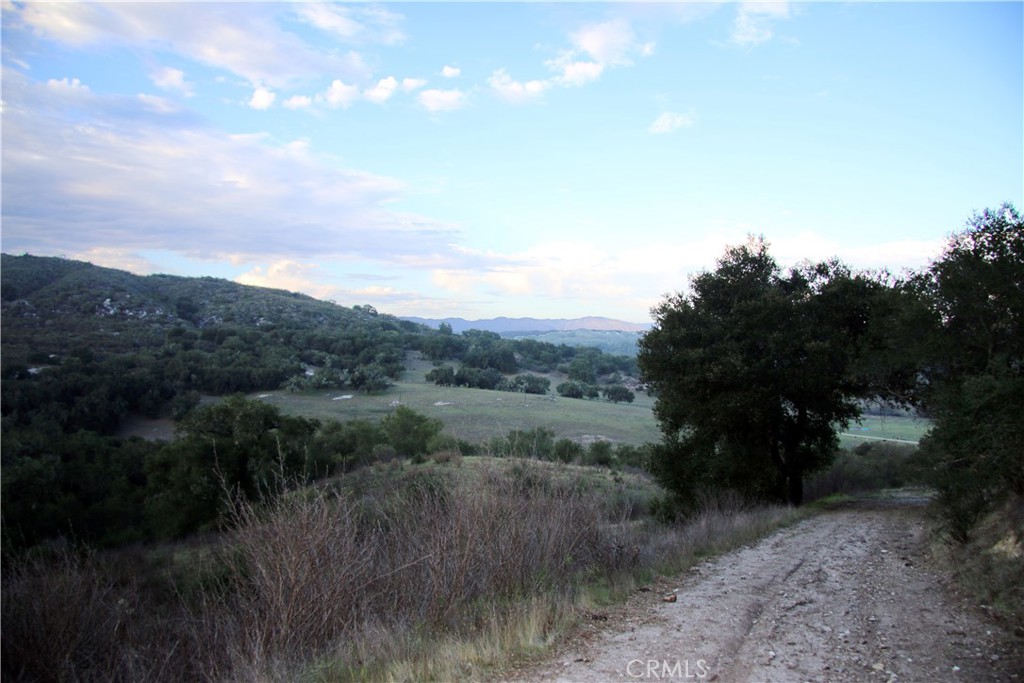 MLS #PI25236520 image #12