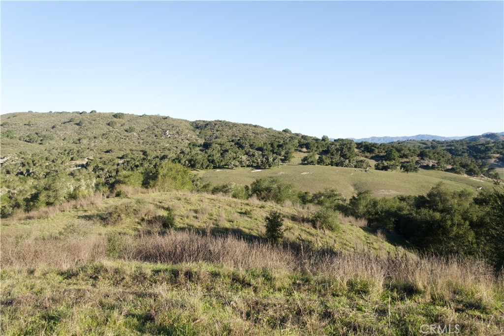 MLS #PI25236520 image #13