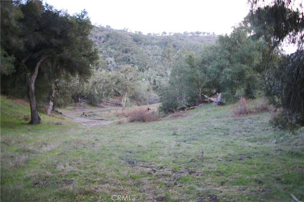 MLS #PI25236520 image #3