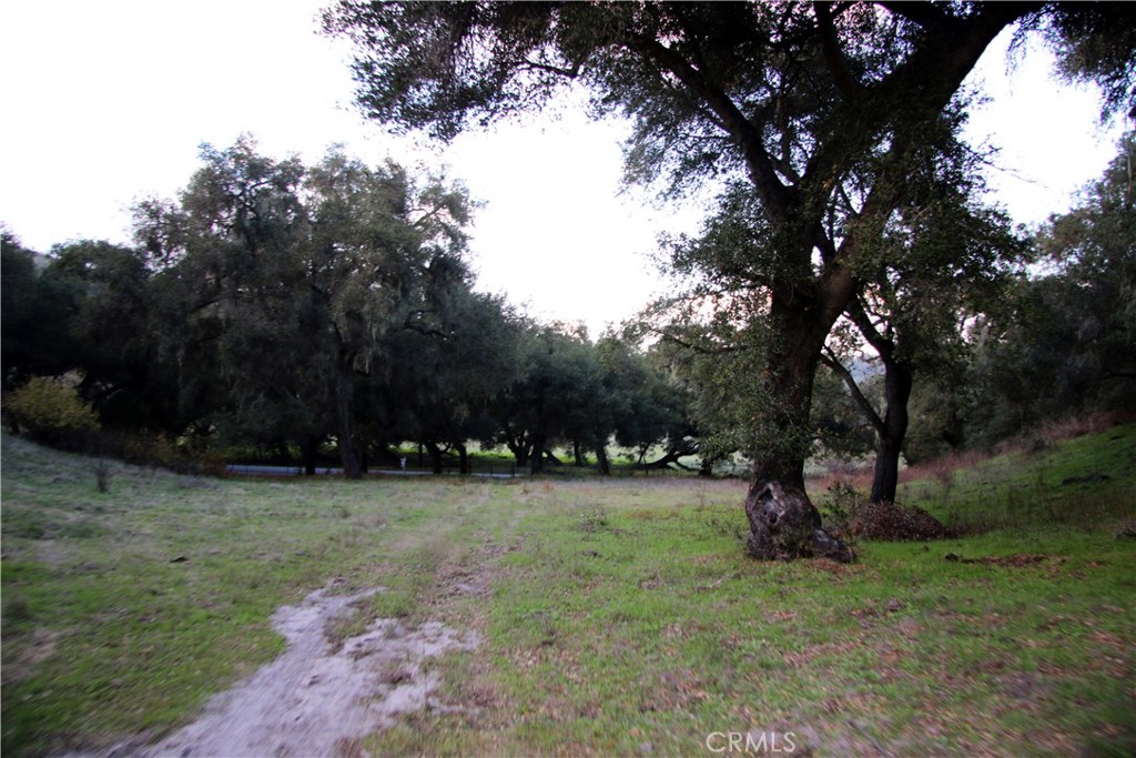 MLS #PI25236520 image #5