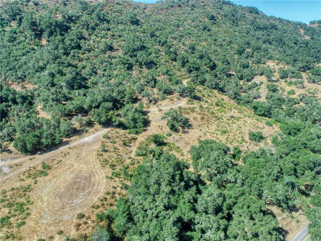 MLS #PI25236520 image #6