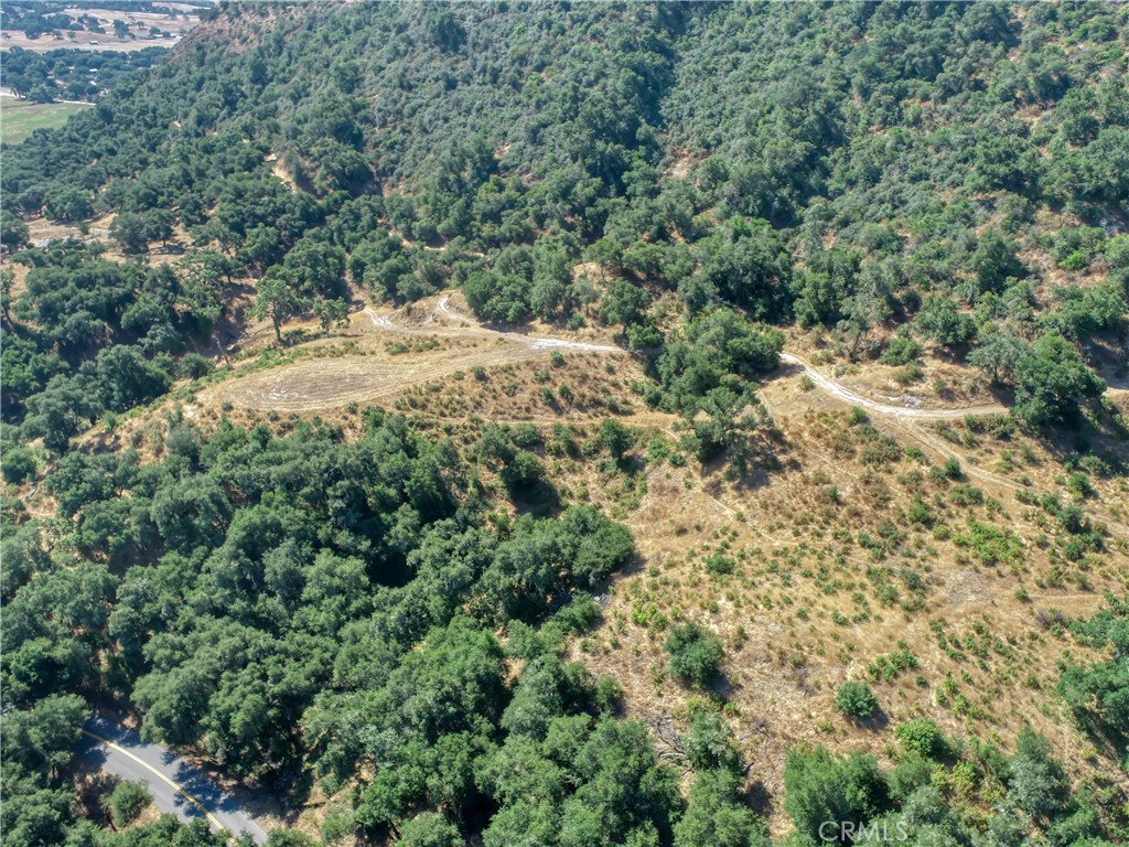 MLS #PI25236520 image #8