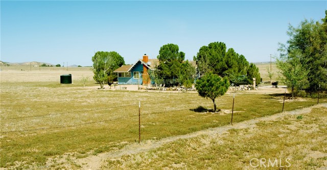 MLS #PI25237545 image #4