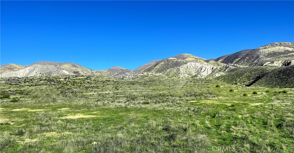 MLS #PI25238267 image #4