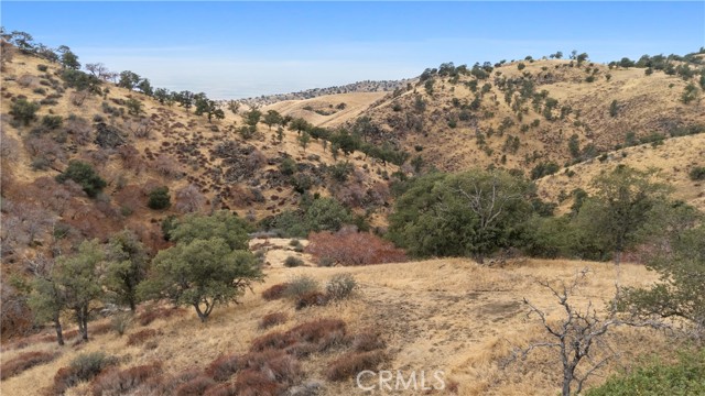 MLS #PI25242084 image #4